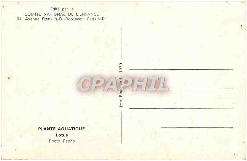 CPA Lotus Fleurs — Back