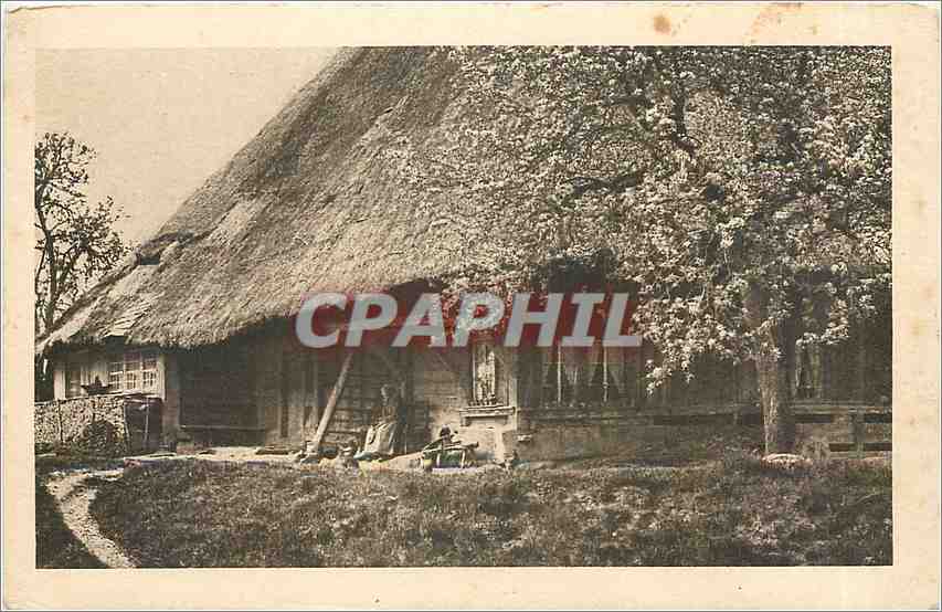CPA Le Locle Suisse Chocolat Klaus Morteau France 