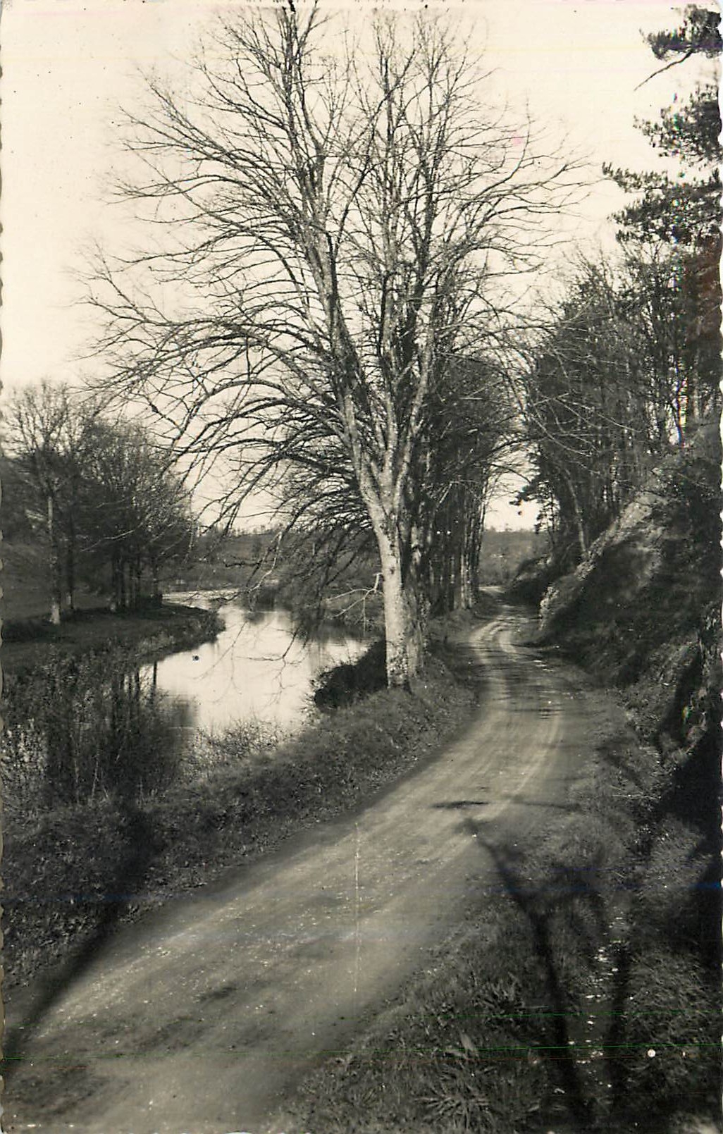Die Ufer der Vire — Die Straße von Tessy nach La Chapelle-sur-Vire — Foto A. Debon, Tessy-sur-Vire