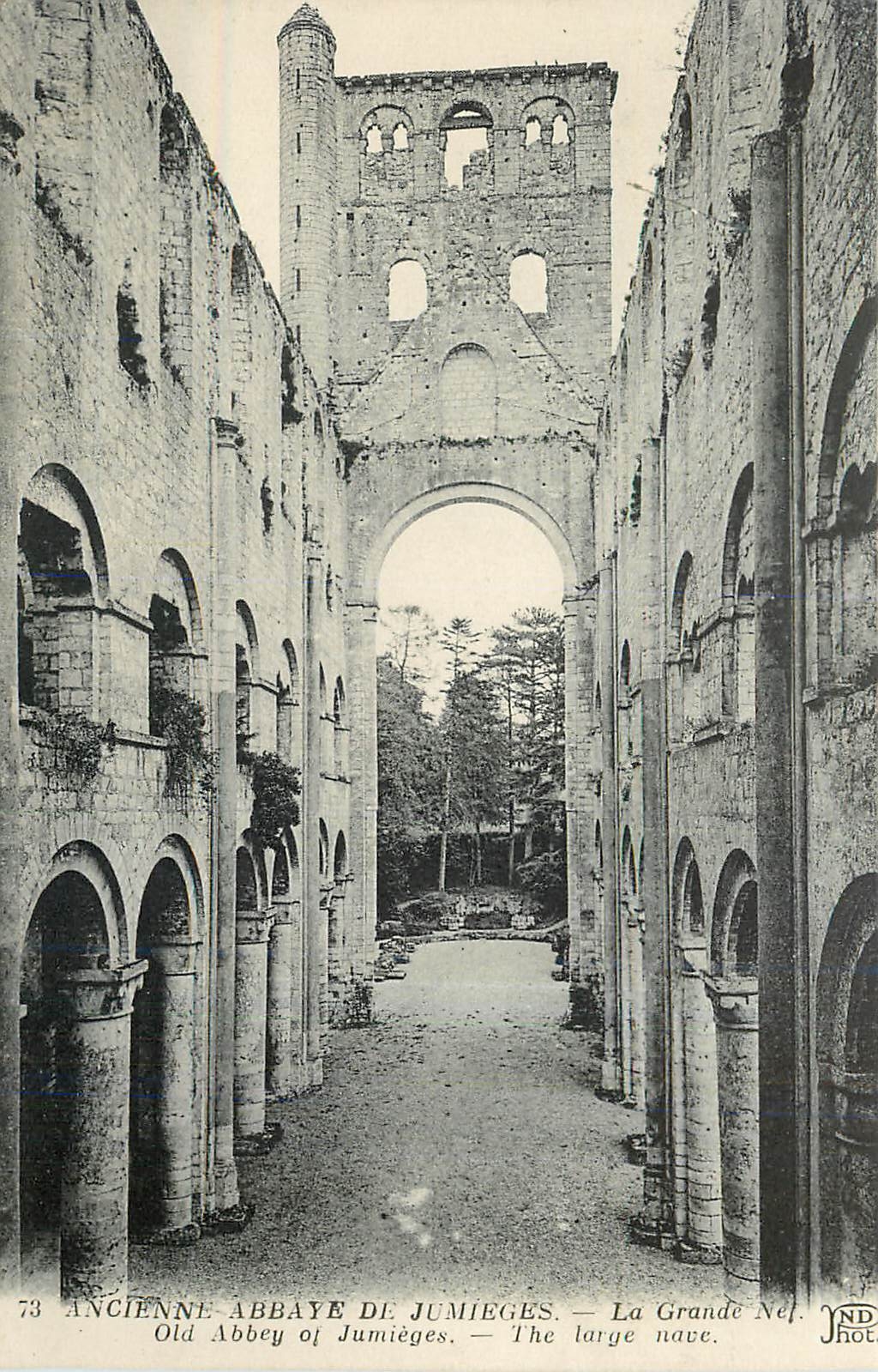 CPA Ancienne Abbaye de Jumieges La Grande Nef 
