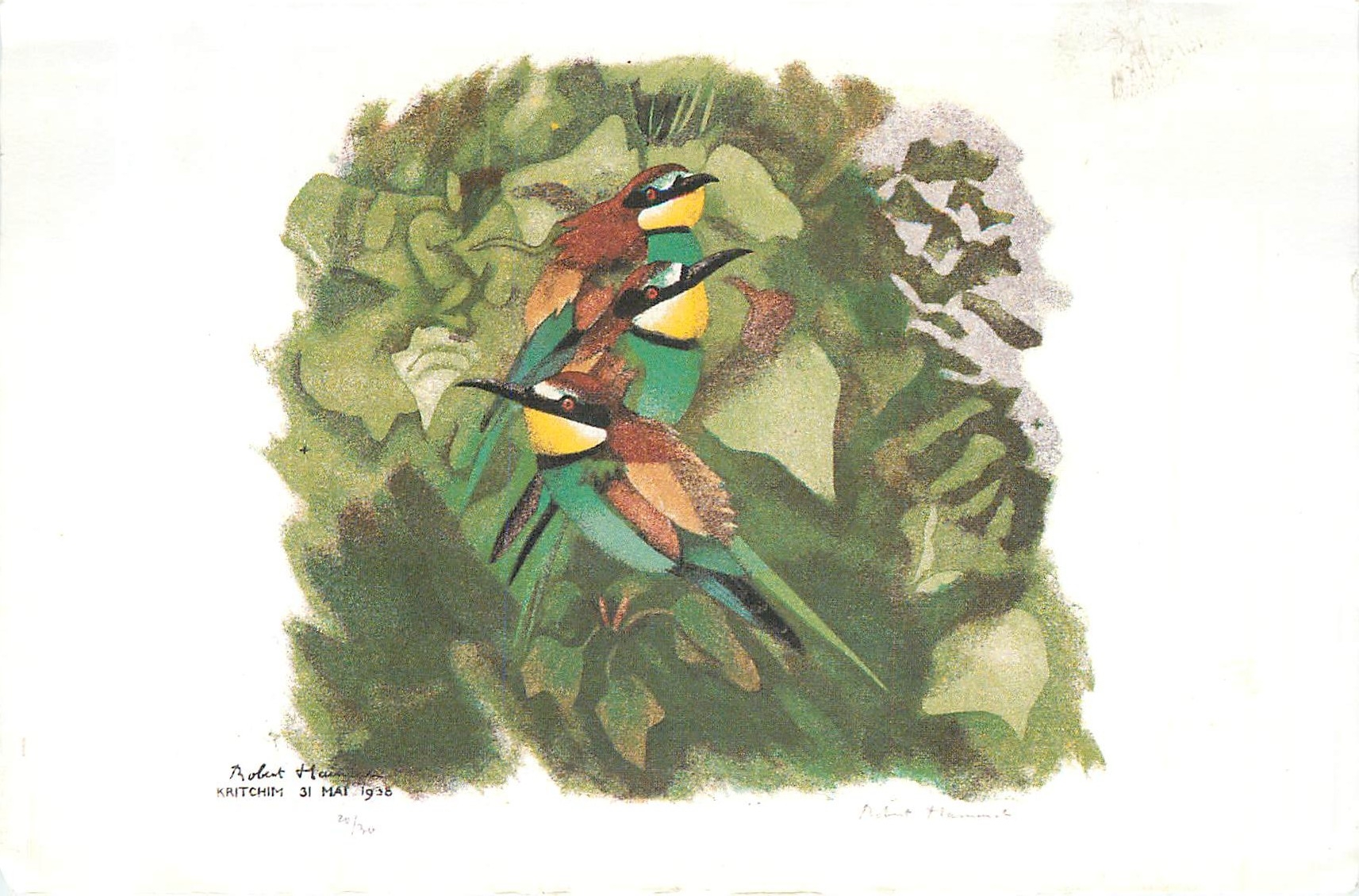 CPA Campagne Pour la Station ornithologique suisse Oiseaux