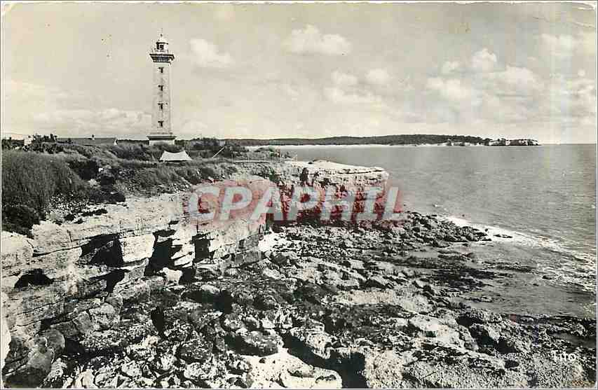 CPM Saint Georges de Didonne Les Falaises du Phare La Pointe de Suzac 