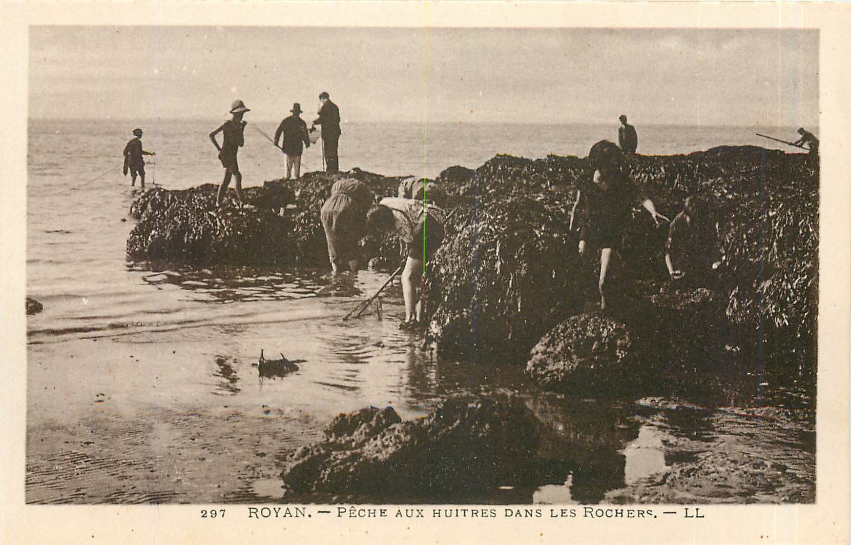 CPA Royan Peche aux Huitres dans les Rochers 