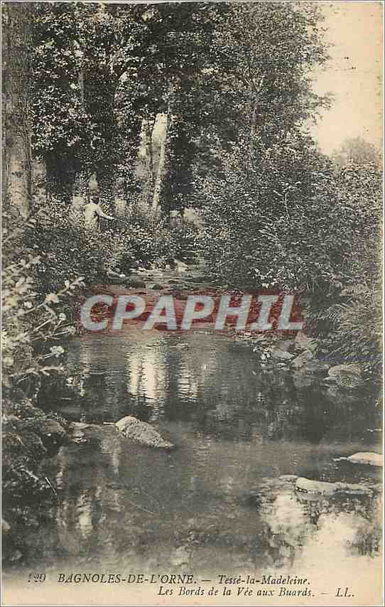 CPA Bagnoles de l'Orne Tesse la Madeleine Les Bords de la Vee aux Buards 