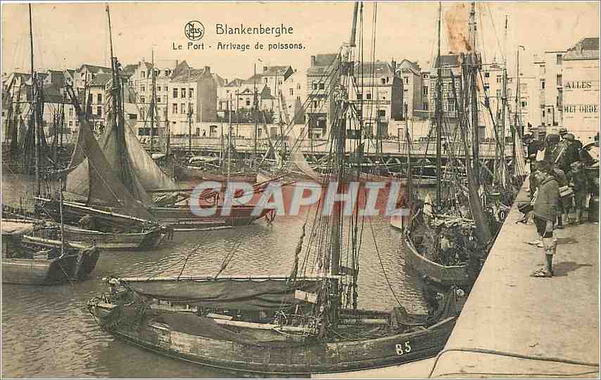 CPA Blankenberghe Le Port Arrivage de poissons Bateaux de peche