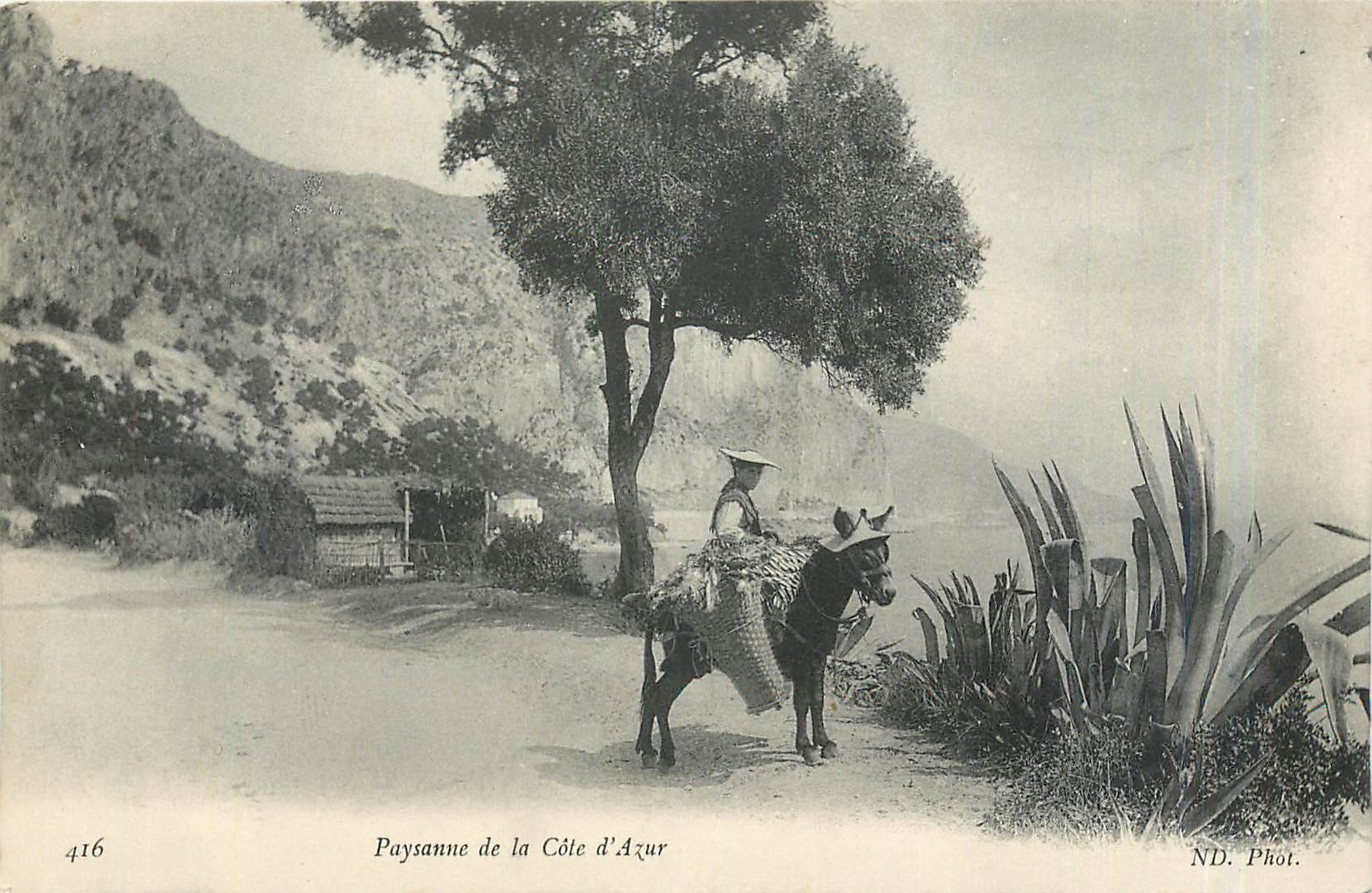 CPA Paysanne de la Cote d'Azur Ane Mule Folklore