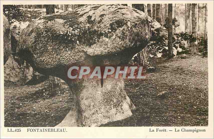 Fontainebleau — La Forêt — Le Champignon — C° des Arts des Stiasbourg-Schlichtiger
