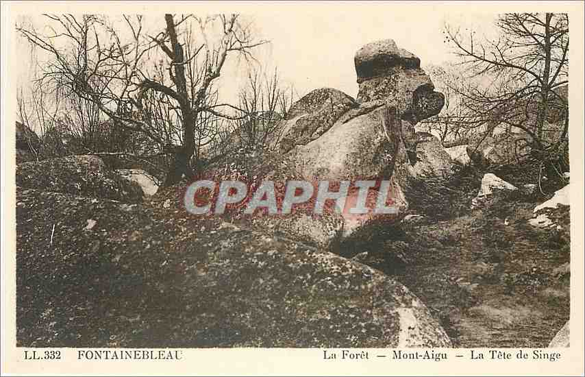 La Forêt – Mont-Aigu – La Tête de Singe — FONTAINEBLEAU
