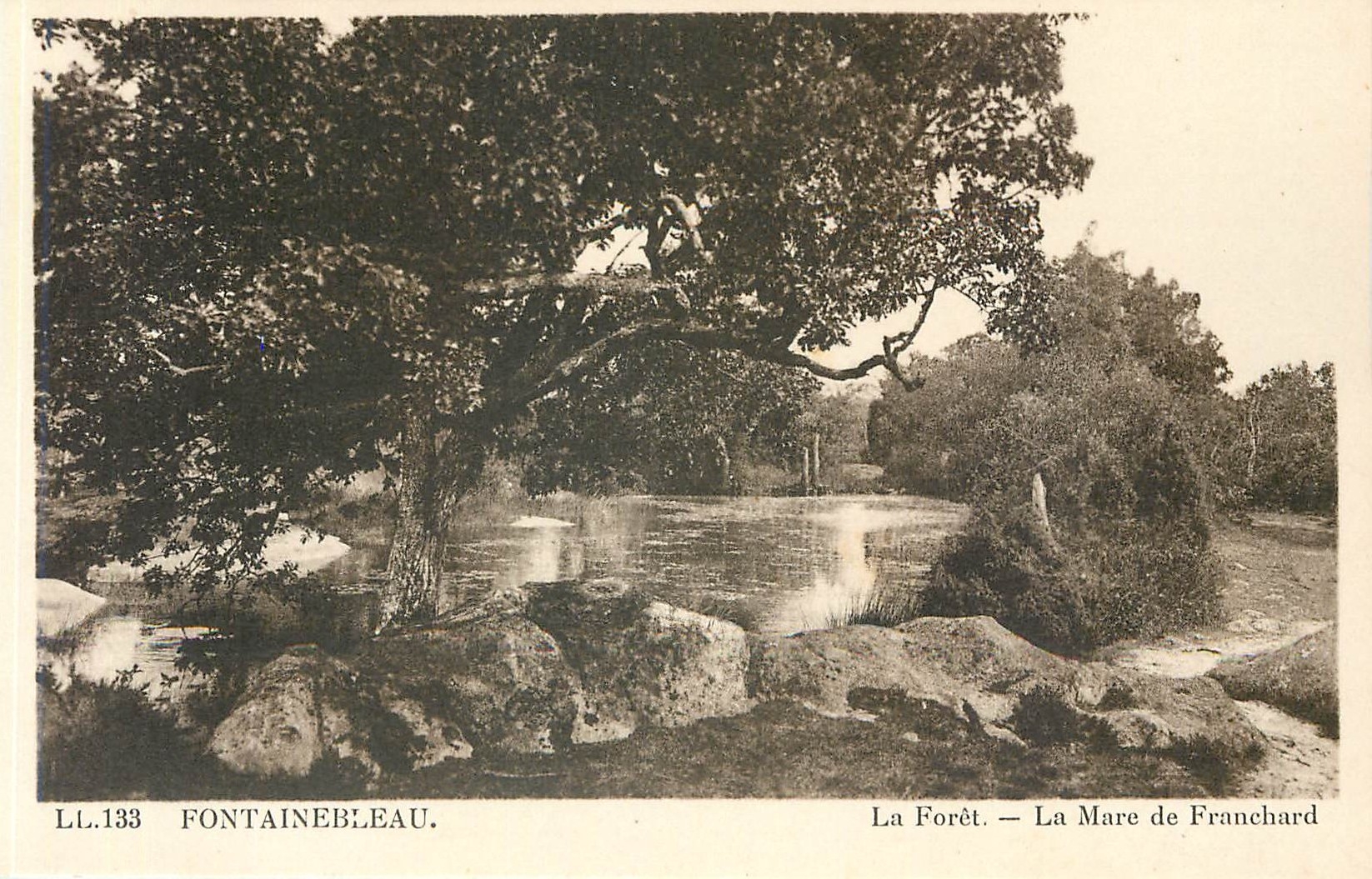 Fontainebleau — Der Wald. — La Mare de Franchard — LL.133