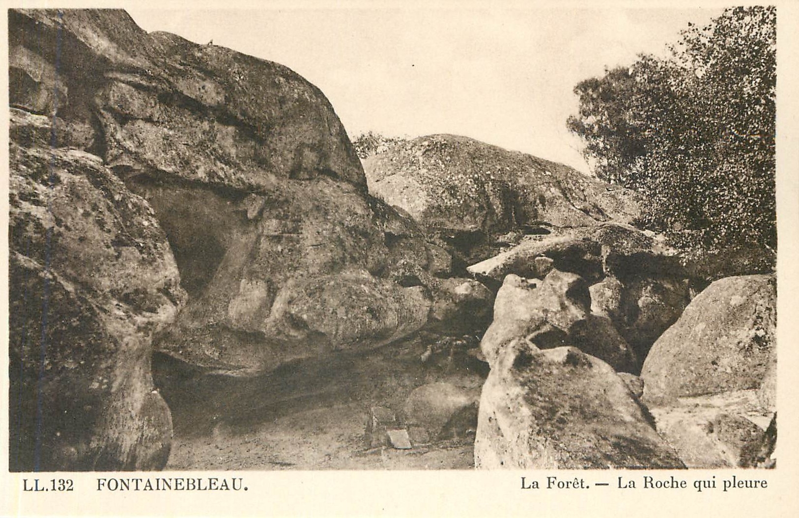 Fontainebleau — La Forêt — La Roche qui pleure — LL.132 — C° des Arts Photomécaniques - Strasbourg-Schiltigheim