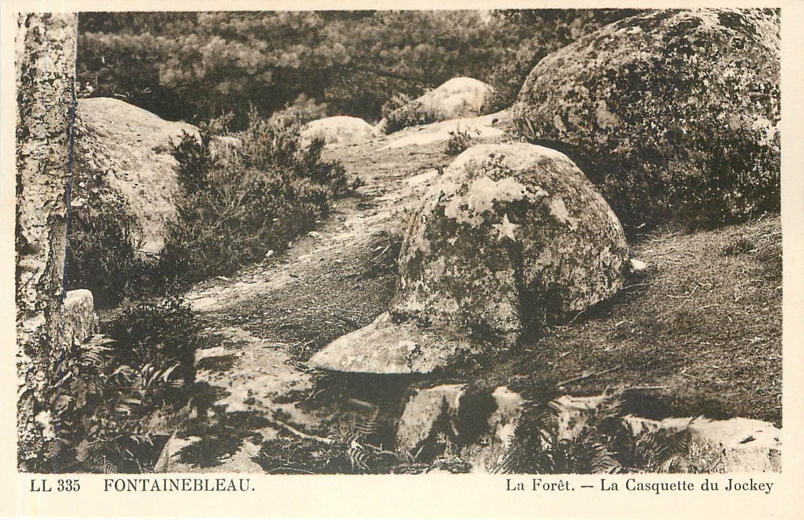 Fontainebleau — La Forêt. — La Casquette du Jockey — LL 335
