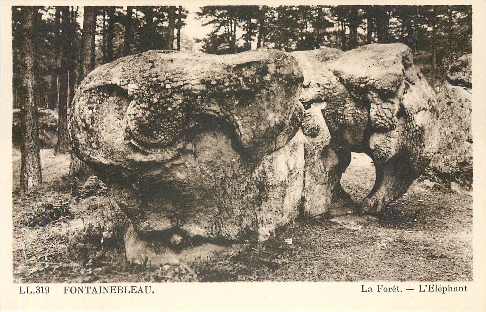 Fontainebleau — Die Forêt — Der Elefant — LL.319
