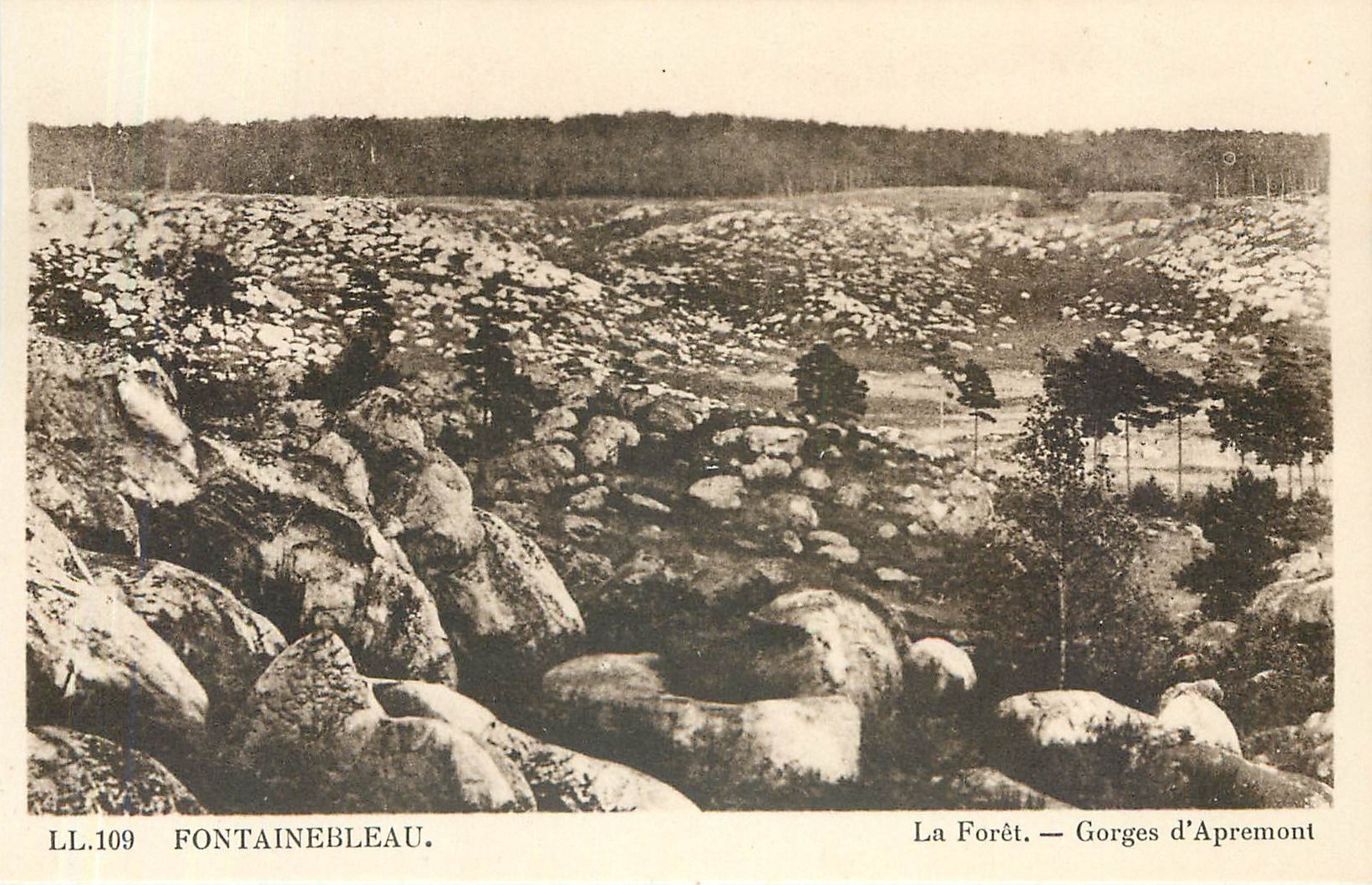 Der Wald — Schluchten von Apremont — Fontainebleau