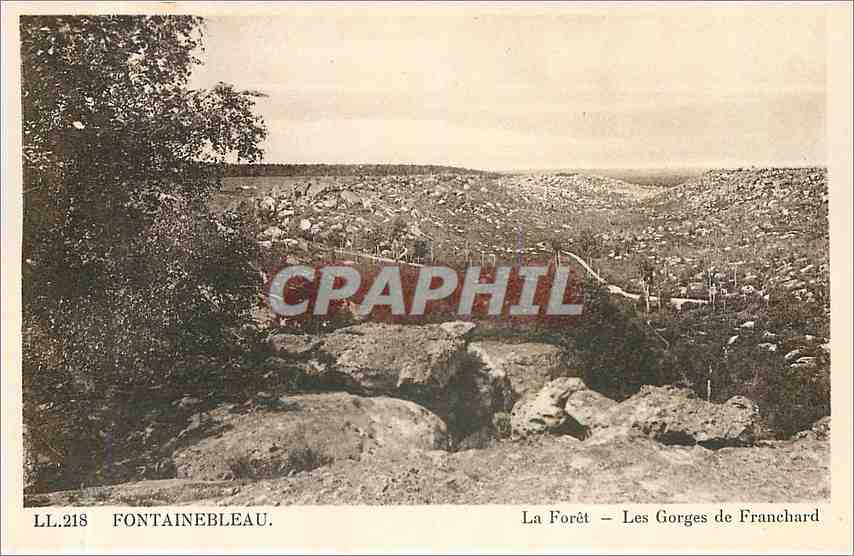 Fontainebleau — Die Forêt — Die Gorges de Franchard — C° des Arts Photogénique — LL.218