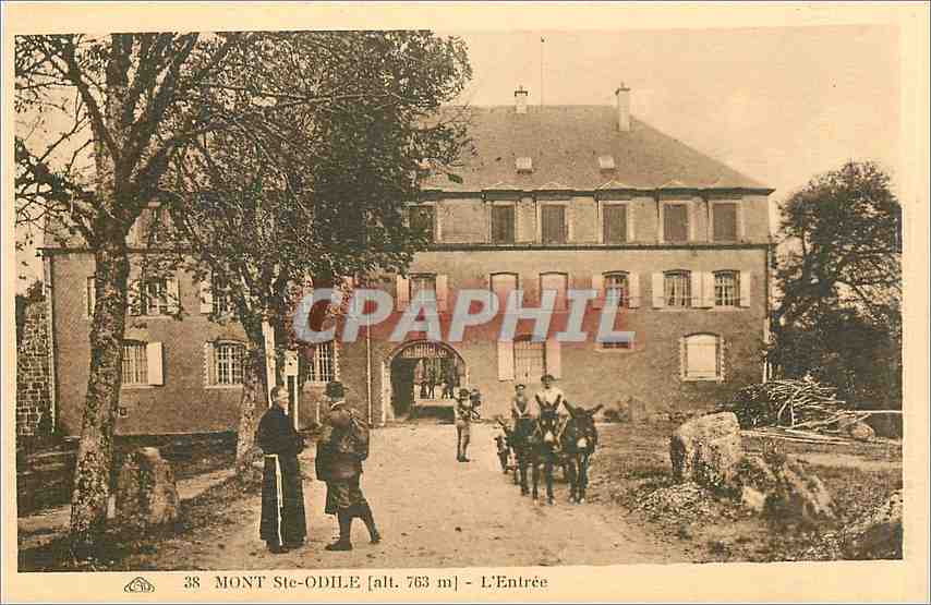 CPA Mont Ste Odile L'Entree Attelage Ane Mule