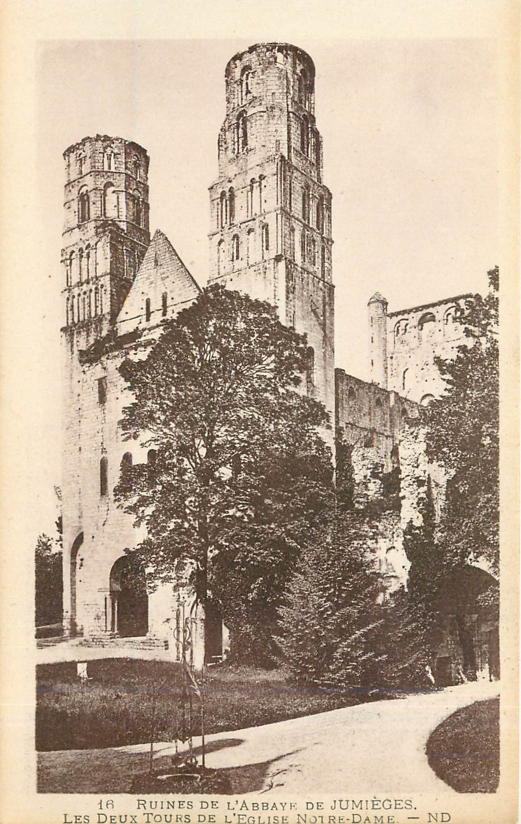CPA Ruines de l'Abbaye de Jumieges 