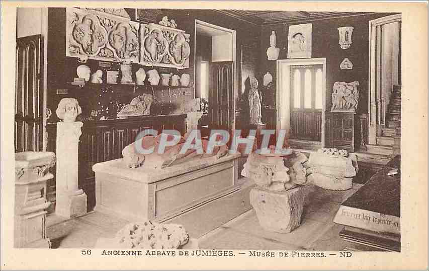 CPA Ancienne Abbaye de Jumieges Musee de Pierres 
