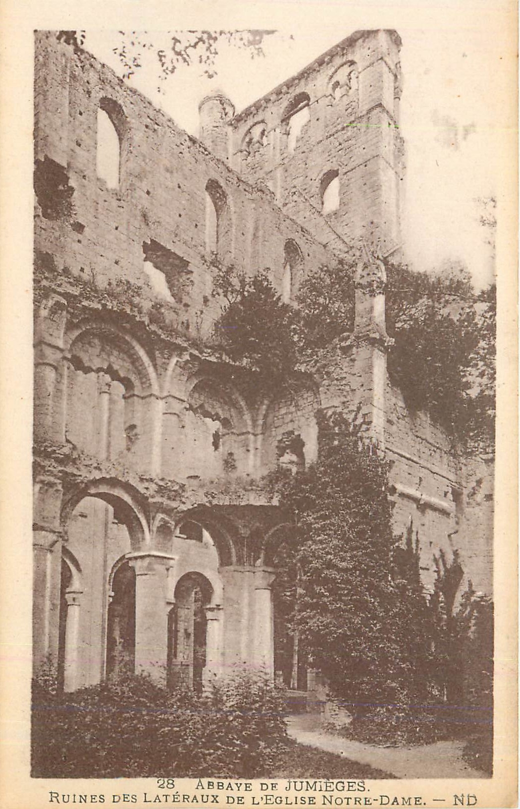 CPA Abbaye de Jumieges Ruines des Lateraux de l'Eglise Notre Dame 