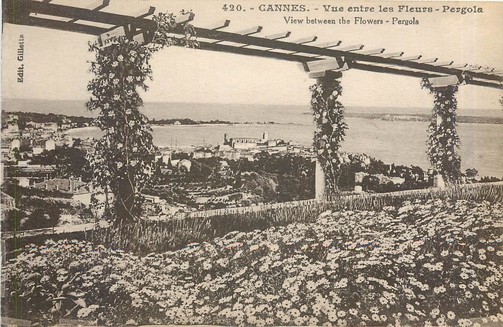 CPA Cannes Vue etre les Fleurs Pergola 