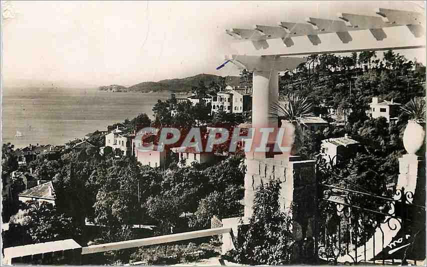 CPM La Cote d'Azur Le Lavandou 