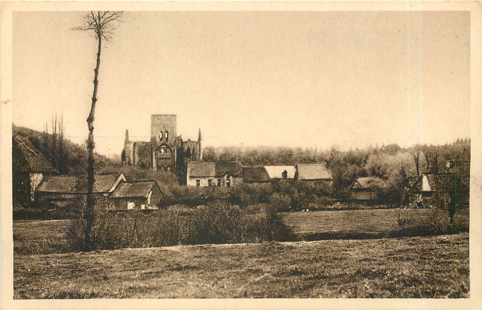 CPA Ruines de l'Abbaye d'Hambye Manche Vue generale 