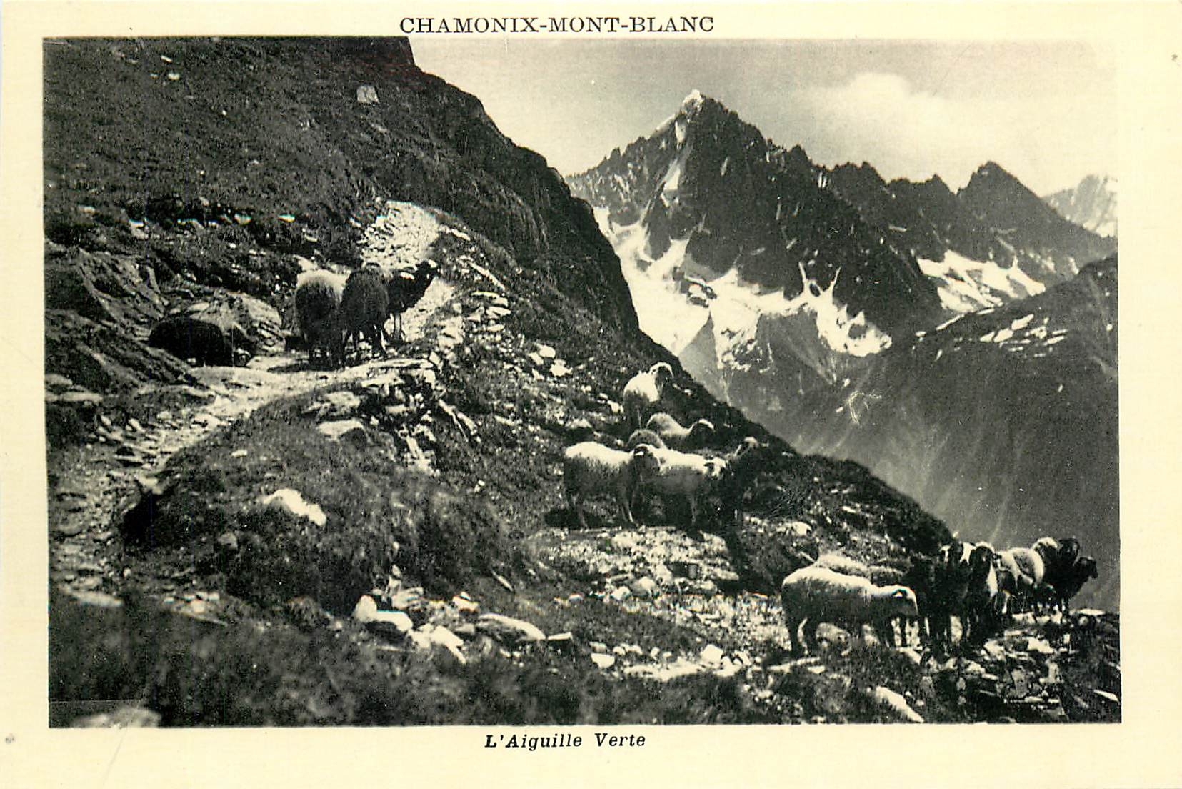 CPA Chamonix Mont Blanc L'Aiguille Verte Moutons