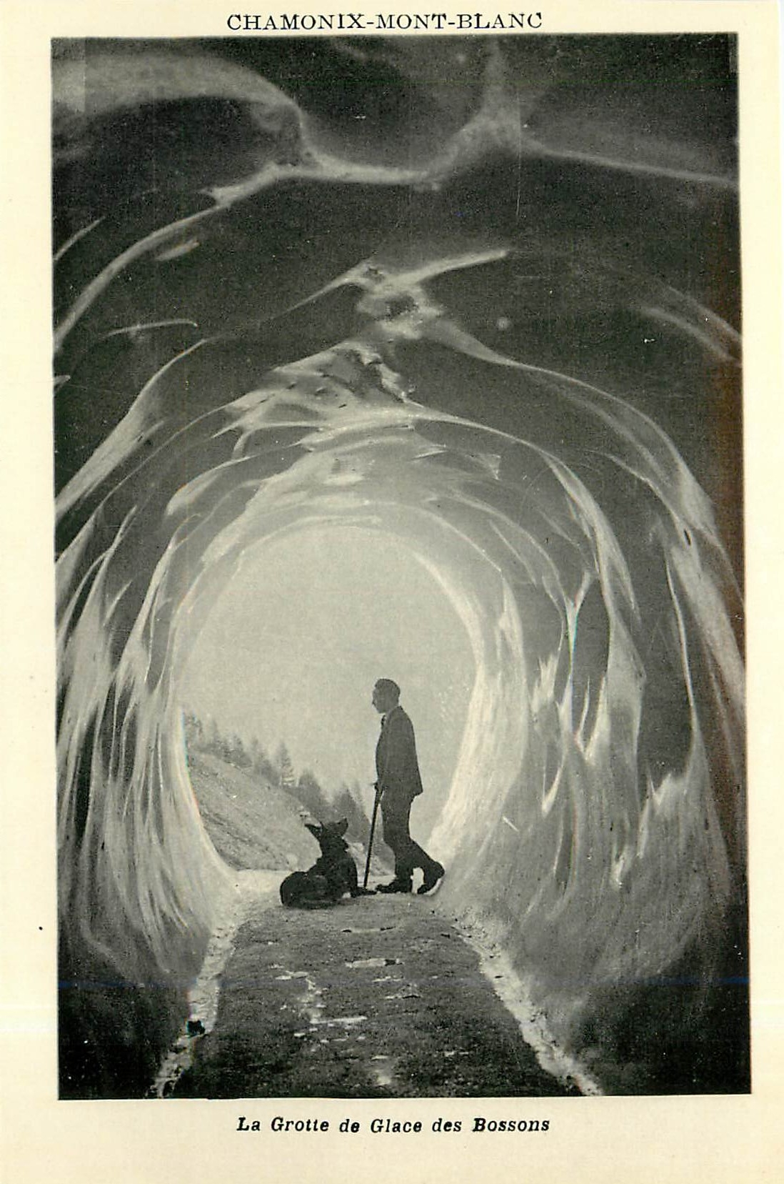 CPA Chamonix Mont Blanc La Grotte de Glace des Bossons 
