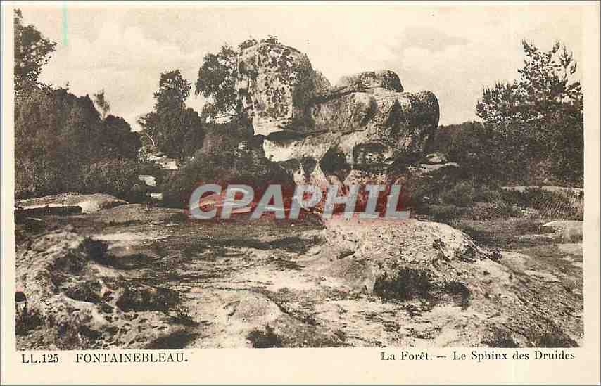 CPA Fontainebleau La Foret Le Sphinx des Druides 