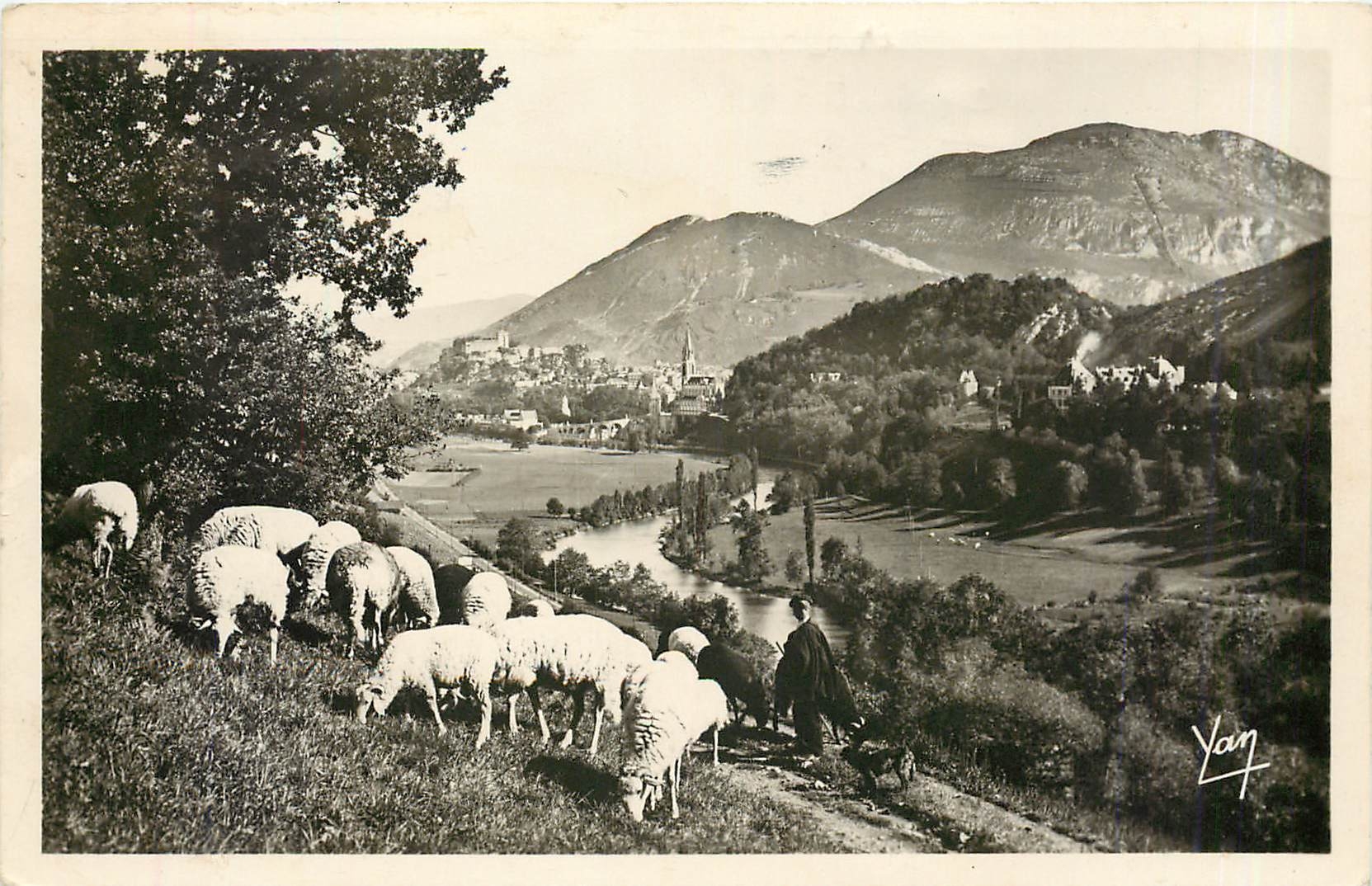 CPA Lourdes La Vallee et le Pic du Jer Moutons