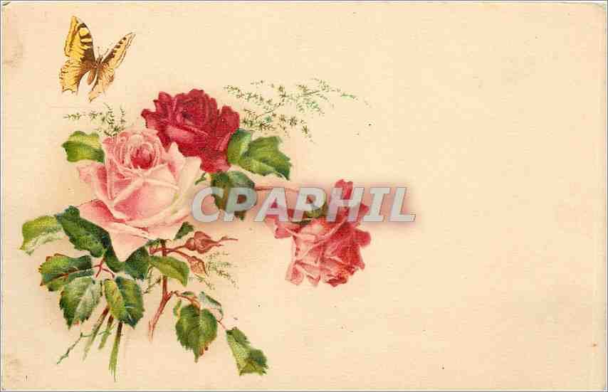 CPA Fleurs Papillon