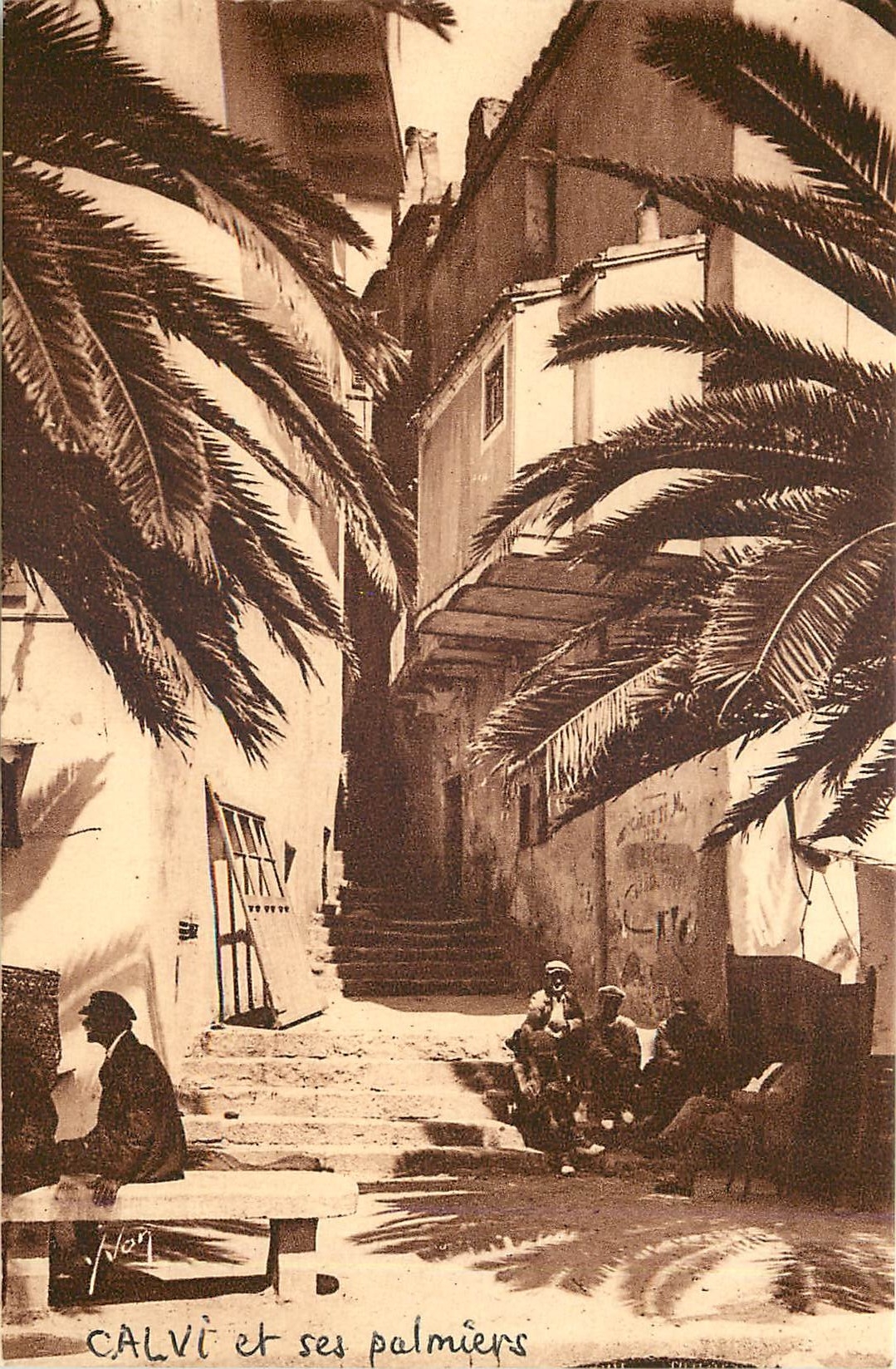 CPA La Corse Ile de Beaute Calvi Vision d'Orient 