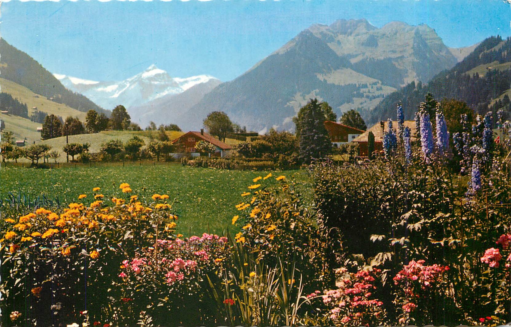 CPM Gstaad  Oldenhorn