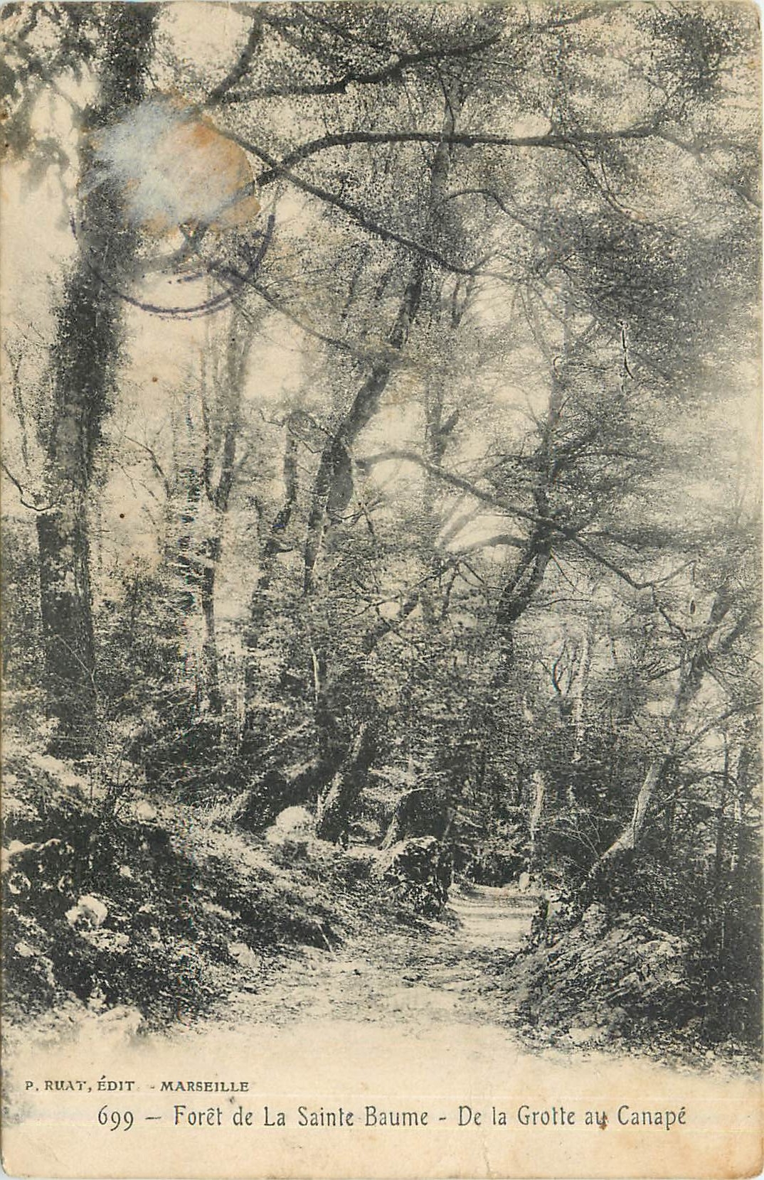 CPA Forêt de la Sainte Baume De la grotte au Canape