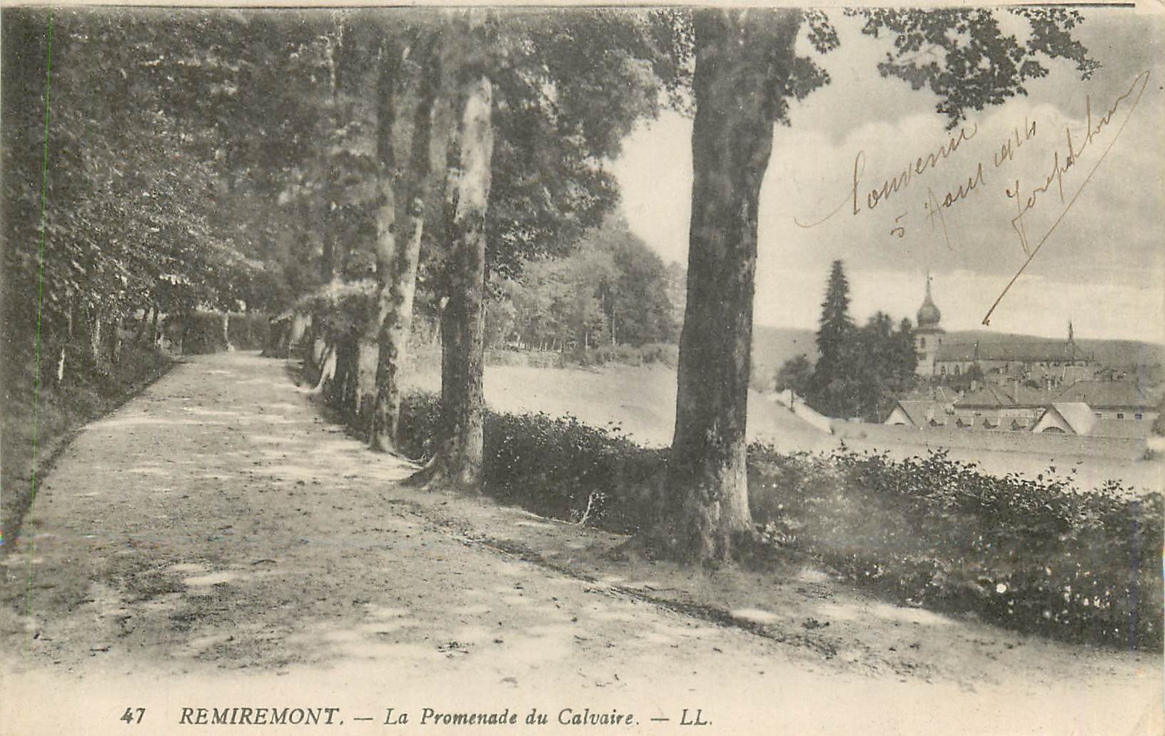 CPA REMIREMONT  La Promenade du Calvaire