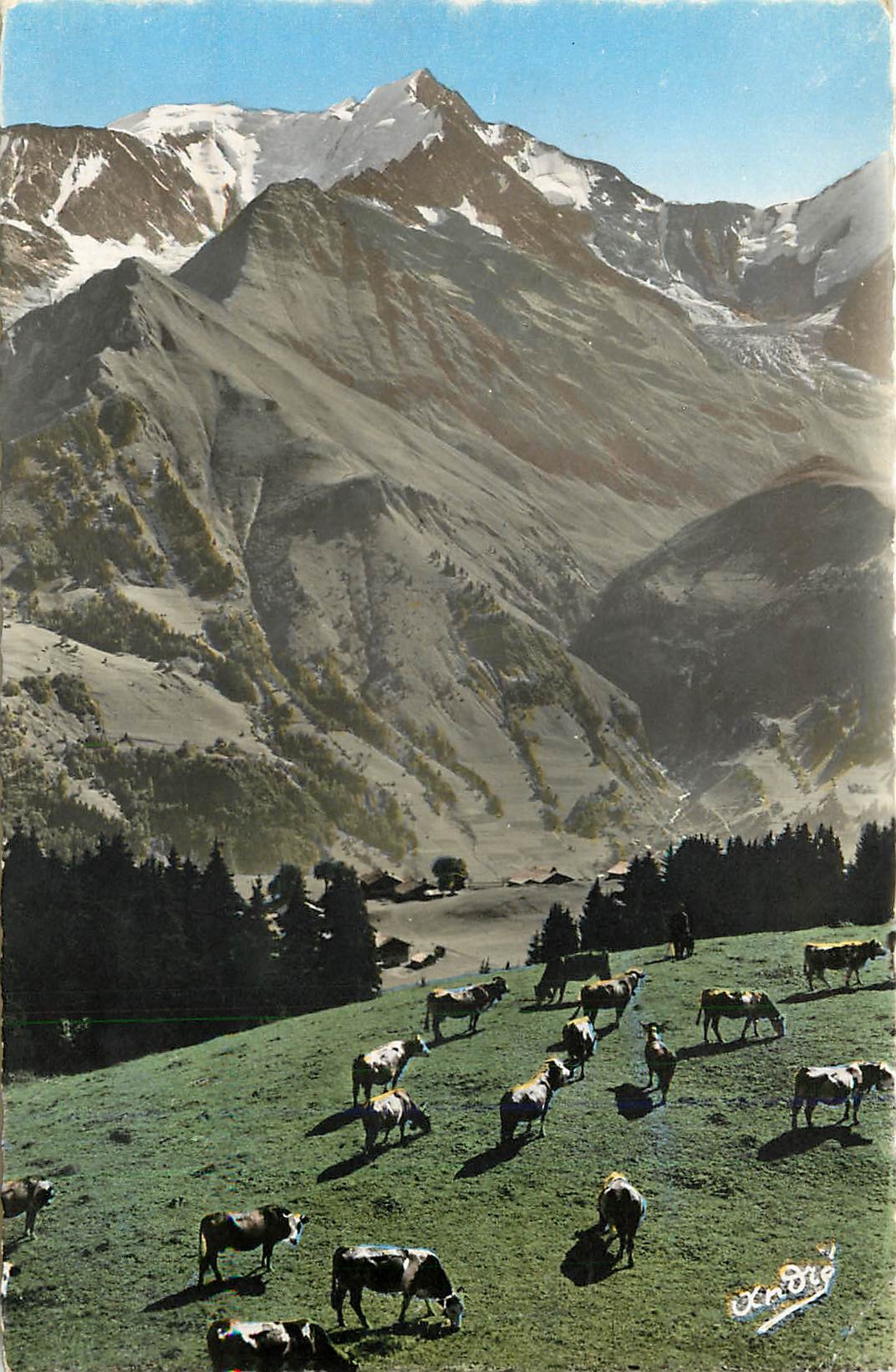 CPM PAYSAGES ALPESTRES Paturages Vaches