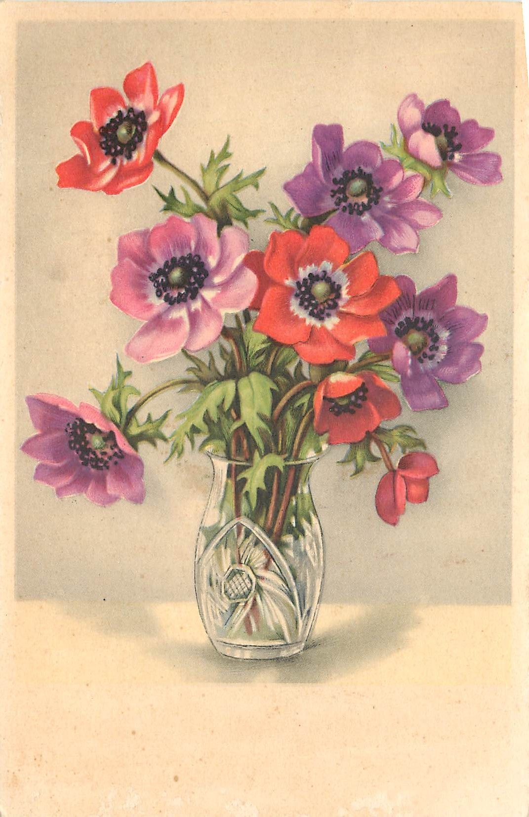 CPA Fleurs