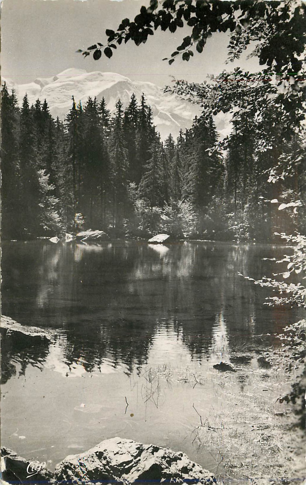 CPM PLATEAU D'ASSY - Le Lac Vert Le miroir du Mont Blanc