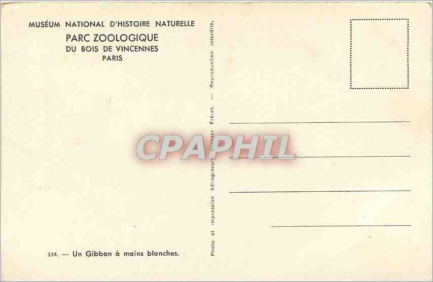 CPM PARIS PARC ZOOLOGIQUE Un Gibbon à main blanche Singe — Rückseite