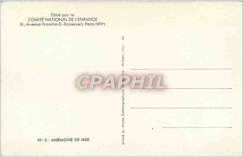 CPM PARIS COMITE NATIONAL DE L'ENFANCE ANEMONE DE MER — Rückseite