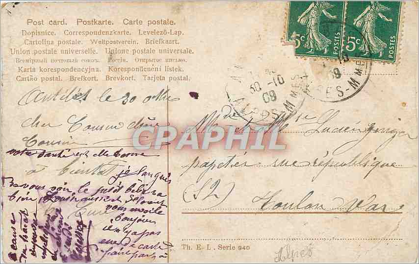 CPA Vaches — Verso