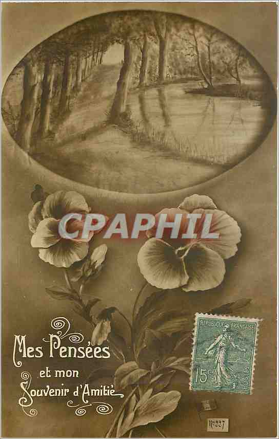 CPA Mes Pensées et mon Souvenir d'Amitiés