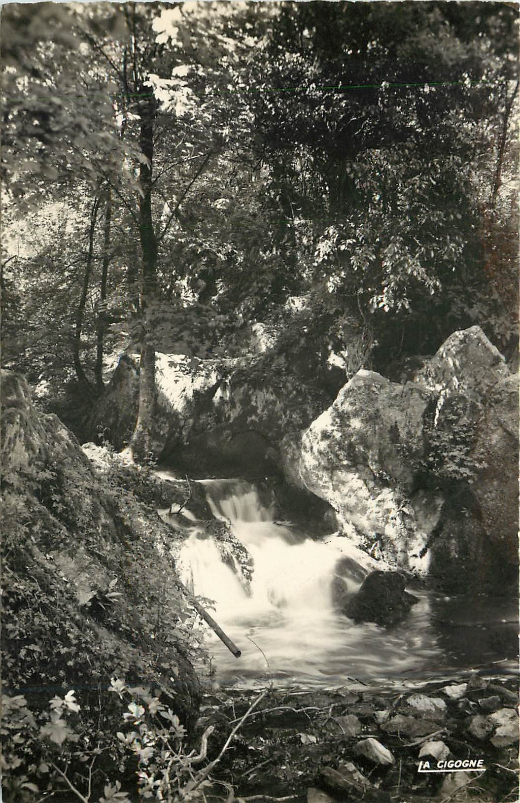 CPM POTIGNY (Calvados) La Cascade du Mont Joly