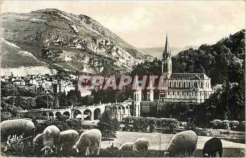 CPA LOURDES - La Basilique et le Pic du Jer
