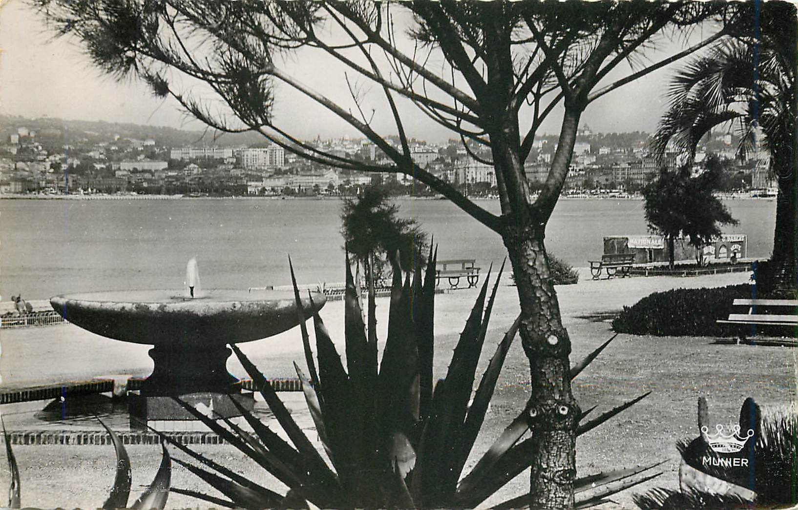 CPM Cannes - Vue générale prise de la Croisette