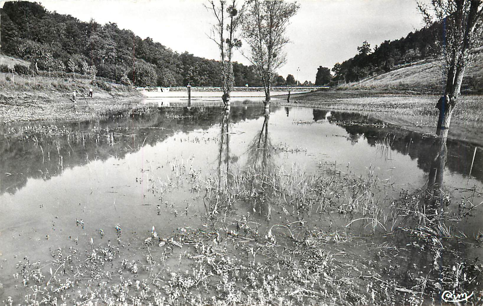 CPA Environs de VARZY (Nievre) - 581256 l'Etang d'OUDAN