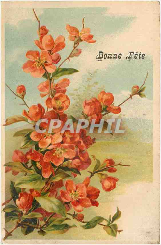 CPA Voeux  Fleurs