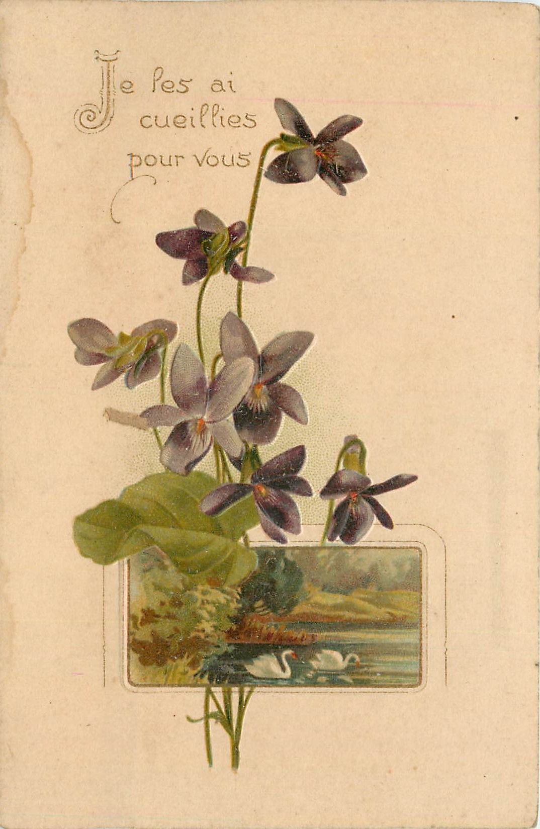 CPA Voeux  Fleurs