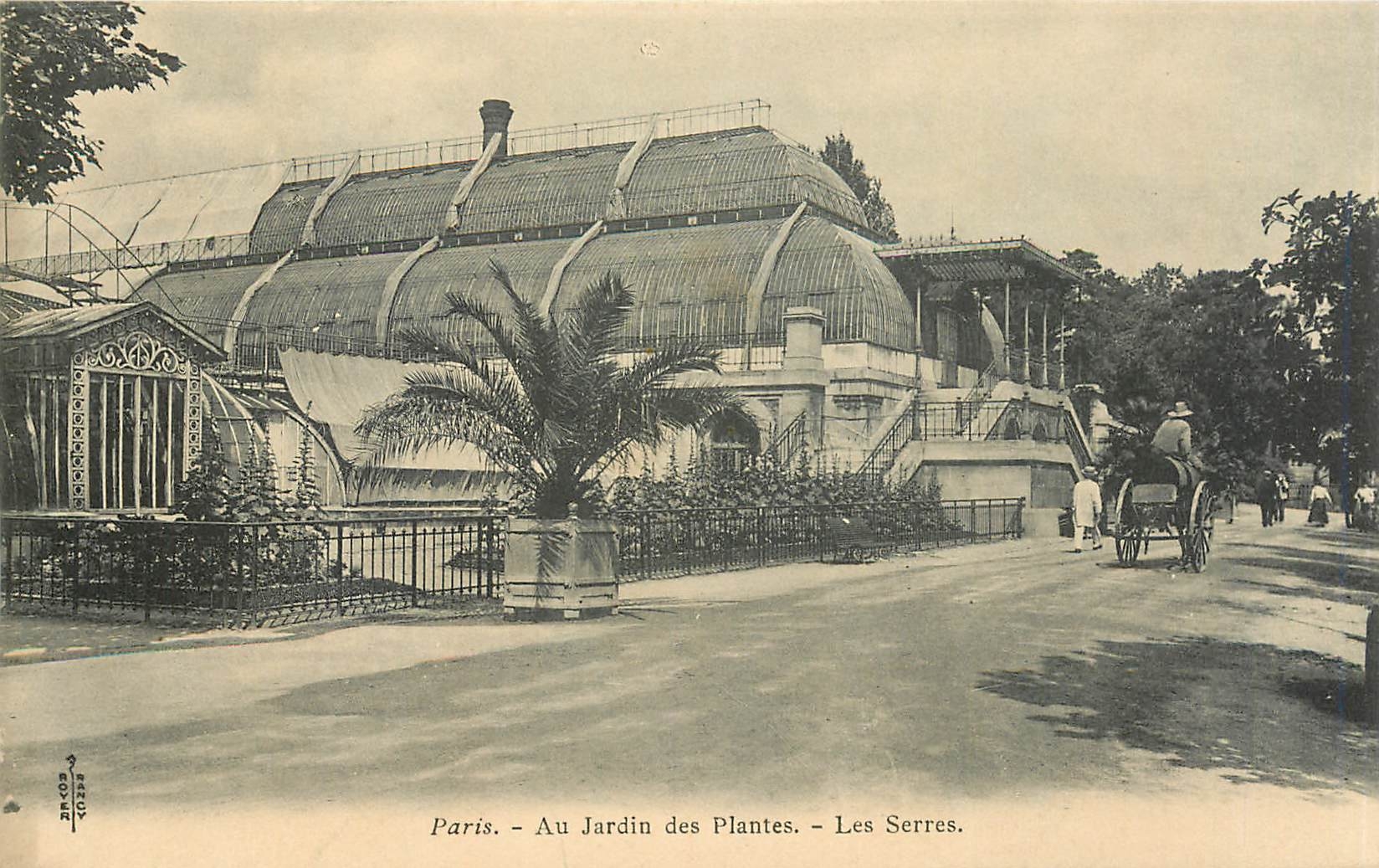 CPA Paris- Au Jardin des Plantes-Les Serres