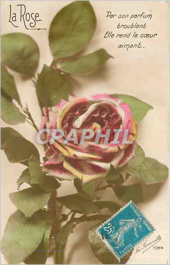 CPA Voeux Fleurs 