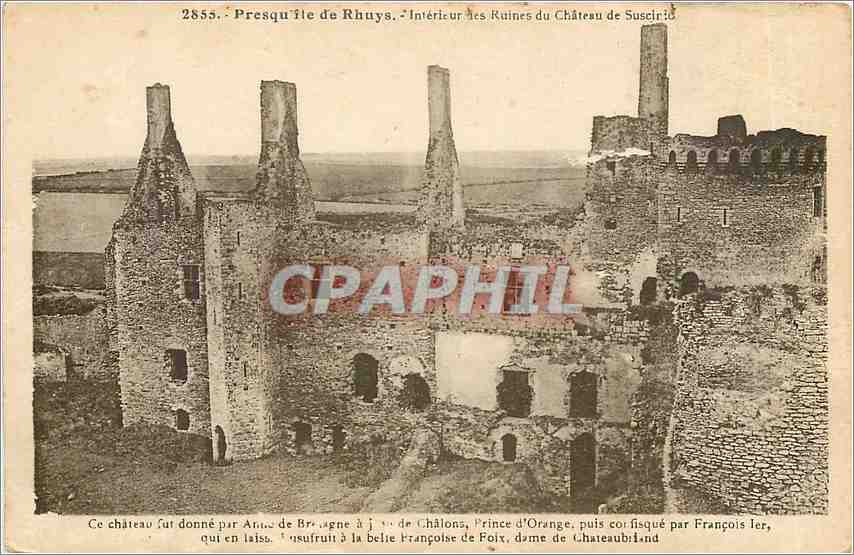 CPA Presqu'ile de Rhuys-Interieur les Ruines du Chateau de Suseinnid